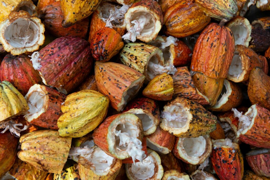 Artisanal Chocolate